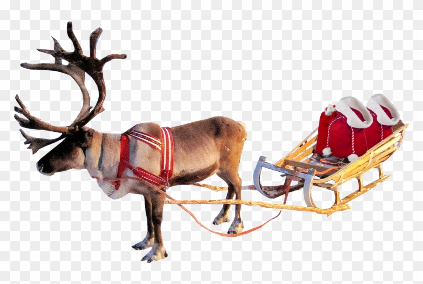 Santa Sleigh Png Clipart - Santa And Reindeer Transparent Background #1448265