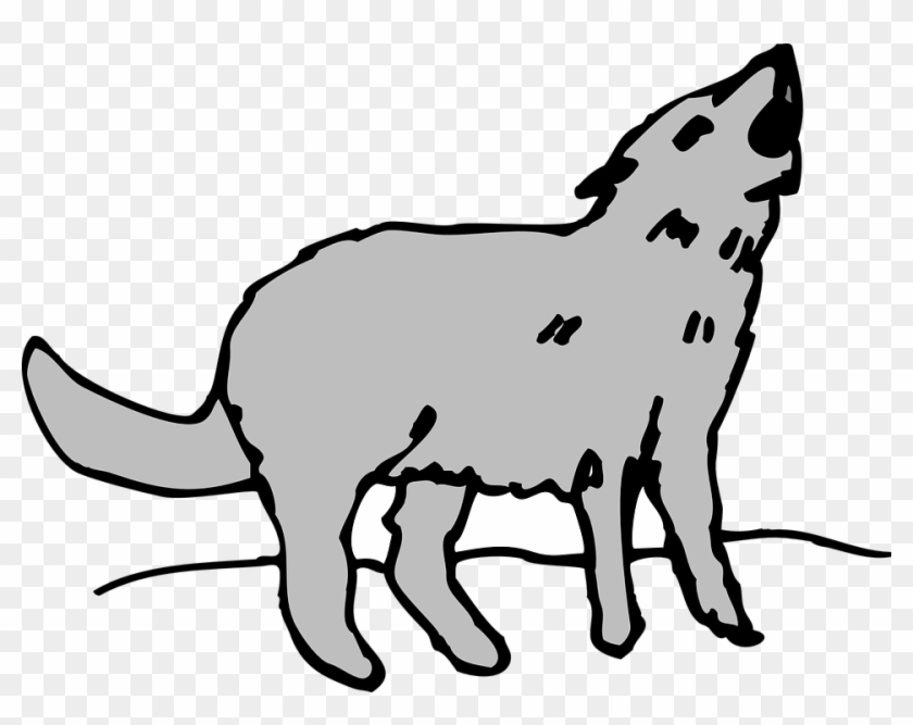 Image Free Cartoon Wolf Howling Shop Of Library Buy - Cartoon Pictures Of Coyotes #1448306