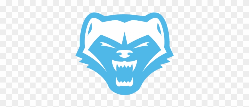 Adviser Faints At Sight Of New Website - Walker Wolverines #1448408