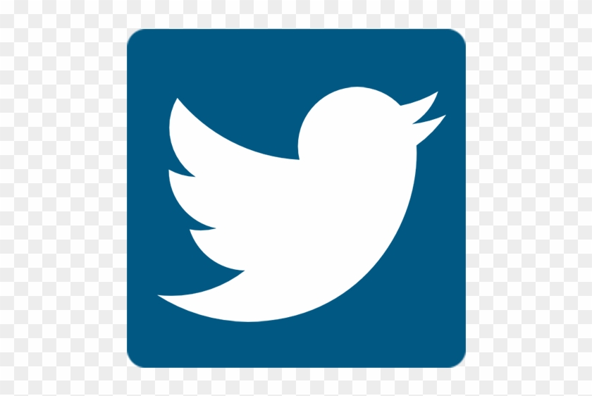 Connect - Twitter Icon For Footer #1448484