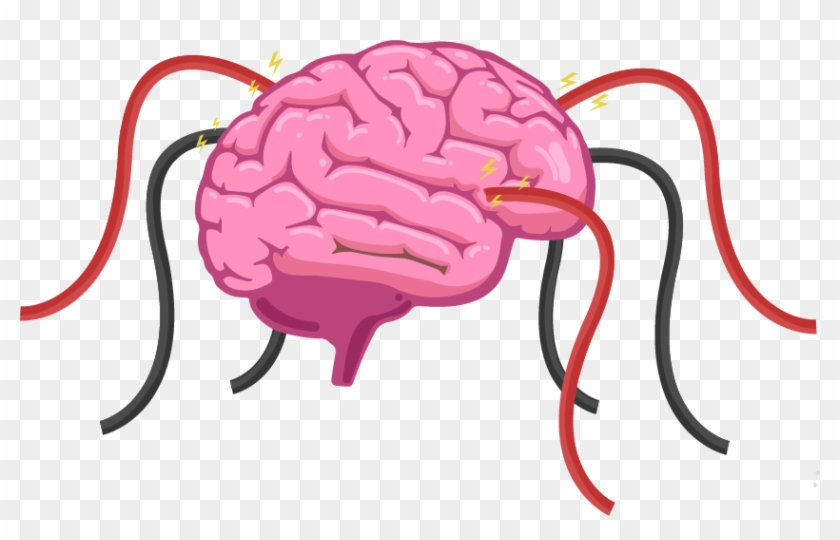 The Human Brain Is A Hive Of Electrical Activity With - Simple Brain Diagram Gcse #1448742