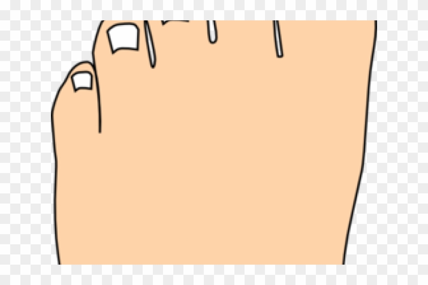 Feet Clipart Toe - Illustration #1448846