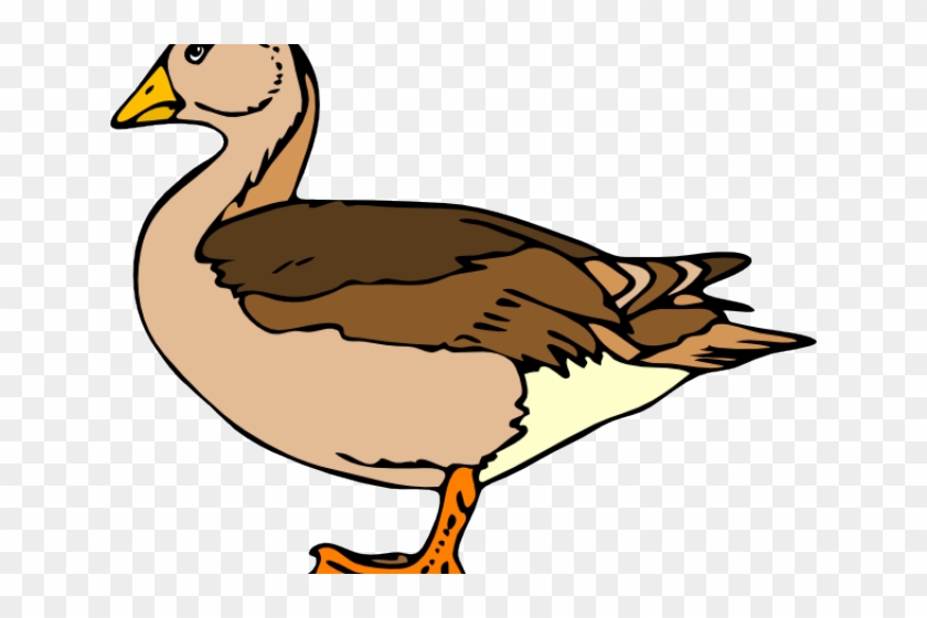 Swimming Clipart Goose - Duck Clip Art #1448951