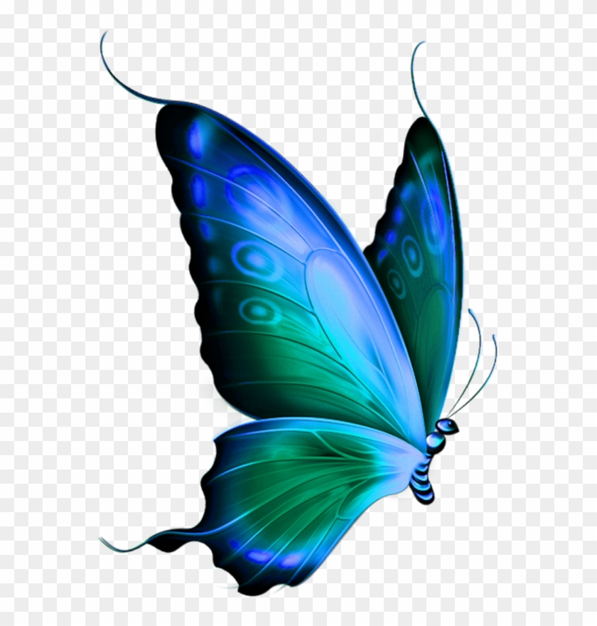 Фото, Автор Svetlera На Яндекс - Blue Butterfly Transparent #1448953
