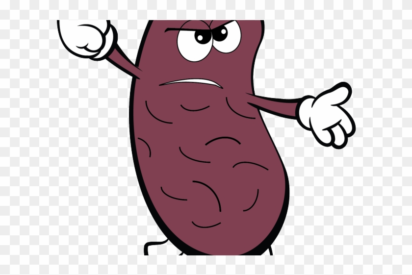 Organs Clipart Kidney - Kidney Bean Cartoon #1449021