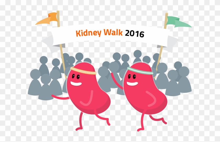 Vector Transparent Library Disease Clipart Health Risk - Kidney Walk #1449049