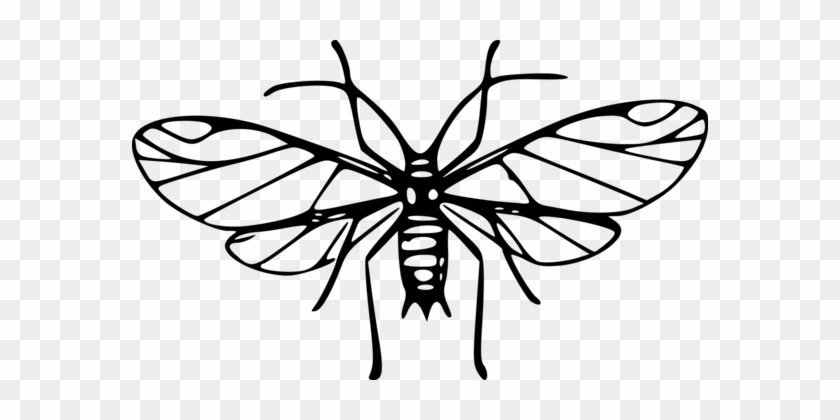 Mosquito Insect Download Computer Line Art - Mosquito Art Clip #1449223