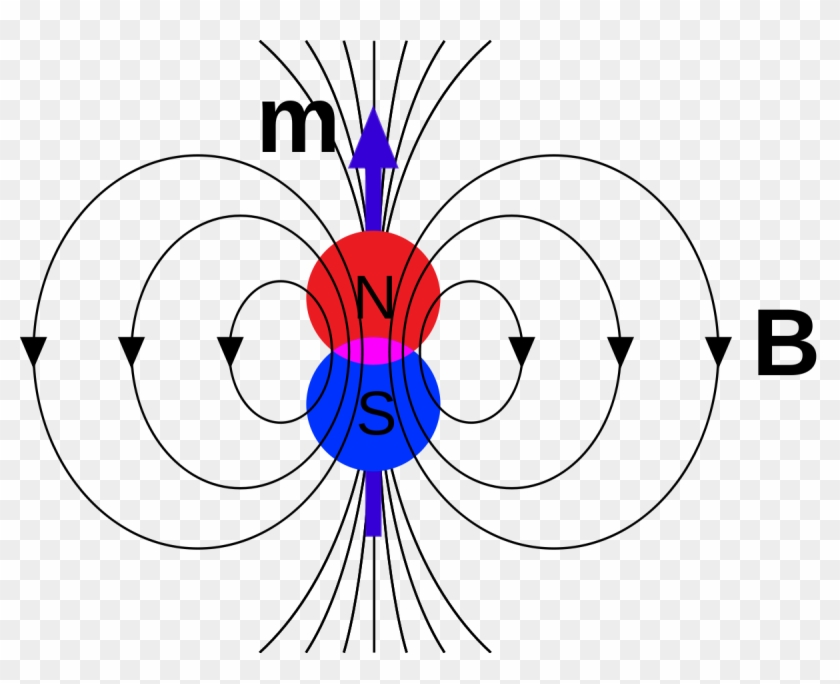 B Magnetic Field Vs Magnetic Dipole #1449409