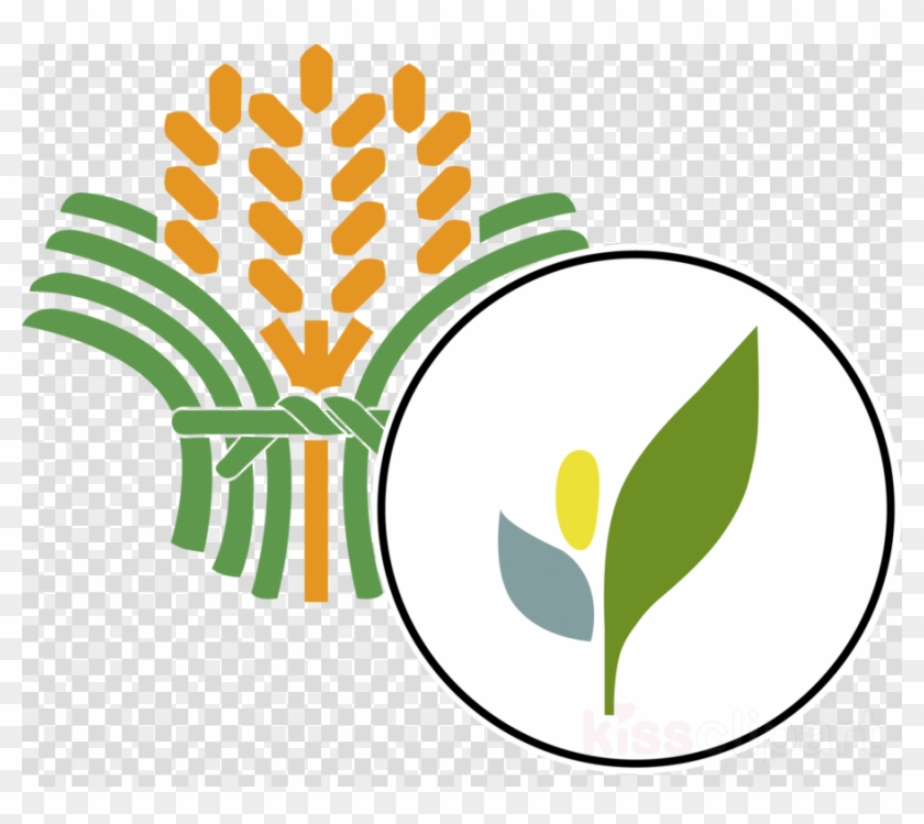 Philippines Department Of Agriculture Clipart Department - Department Of Agriculture Da #1449589