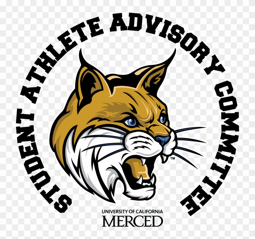 Logo Bobcat Uc Merced #1449708