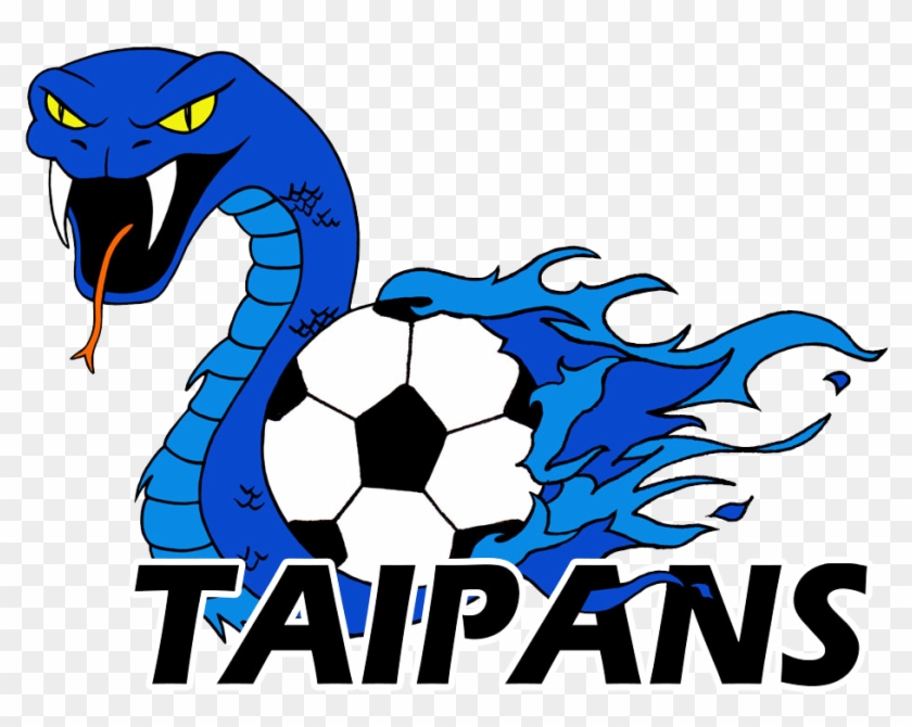 South Coast Taipans Vs Mascot Vipers - Taipan #1449770