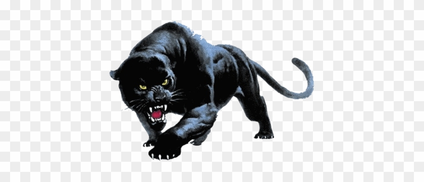 Fancy Panther Head Clipart Panther Png Transparent - Devon Meadows Football Club #1449981