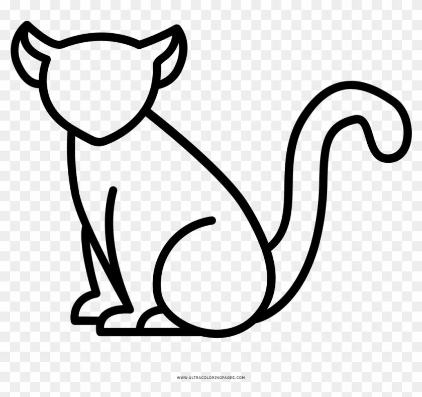 Drawing Racoon Coloring Page - Drawing #1450233