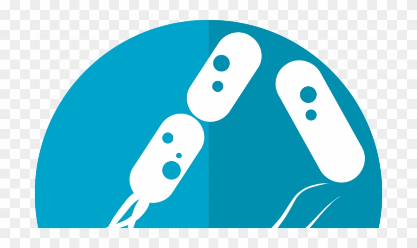 Bacteria Png #1450250