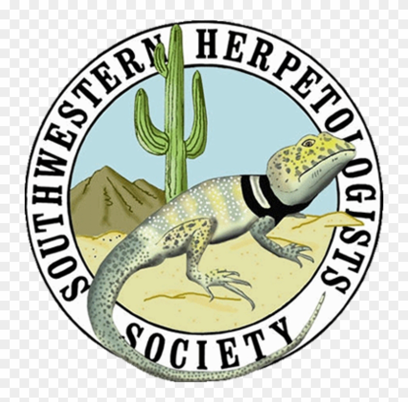 Swhs Insurance And Events Policies - Collared Lizard #1450523