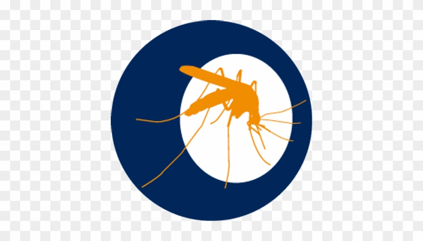 News From - Quotes On Dengue Prevention #1451382