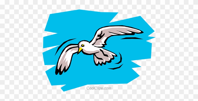Seagull Royalty Free Vector Clip Art Illustration - Gabbiano Jonathan Livingston Scuola Primaria #1451610