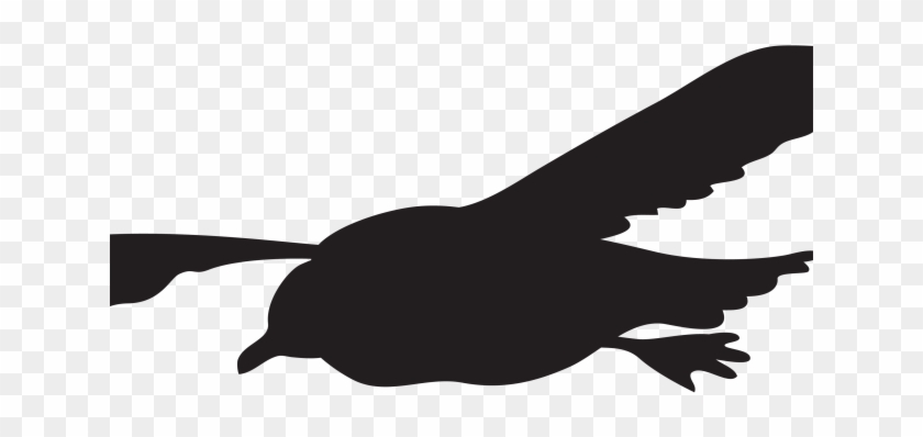 Seagull Clipart Transparent Background - Clip Art #1451613