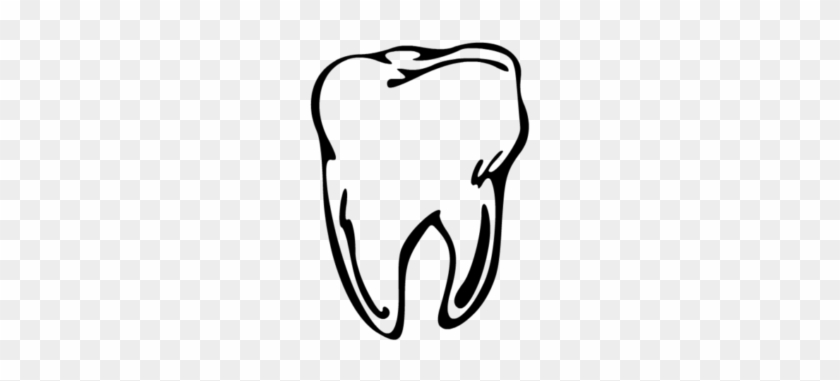 Teeth Clipart Molar - Molar Clipart #1451617