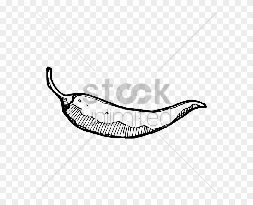 Hot Pepper Drawing At Getdrawings Com Free - Chili Pepper #1451763