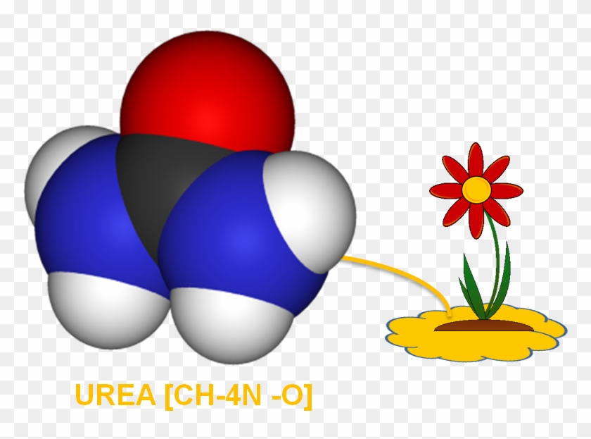 Clip Art Transparent Hypothesis Clipart Procedure - Nitrogen #1452049