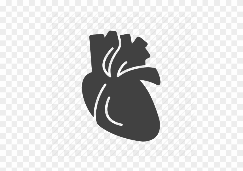Cardiac Vector Heart Organ Jpg Royalty Free Stock - Human Heart Png Icon #1452195