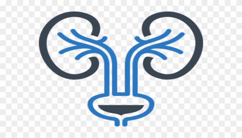 About - Urinary Tract Infection Icon #1452211