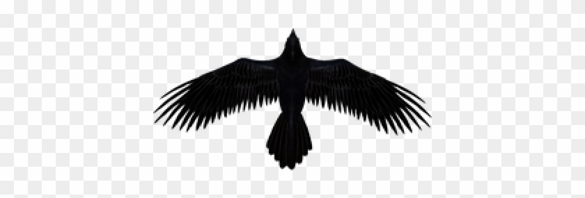 Download Raven Free Png Photo Images And Clipart - Clip Art Raven Png #1452326