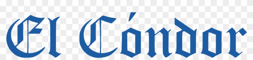 El Cóndor Logo - Juicy Couture #1452341