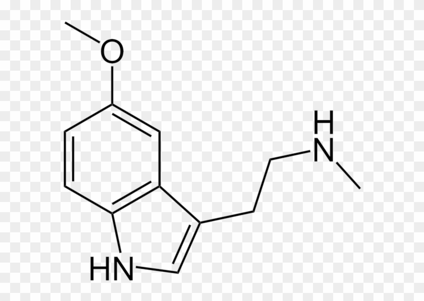 organic chemistry - Interpreting a formula tattoo - Chemistry Stack Exchange