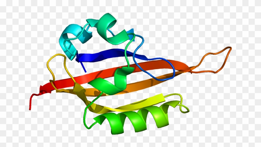 Dna Clipart Genetic Mutation - Epas1 Gene Tibetan #1452610