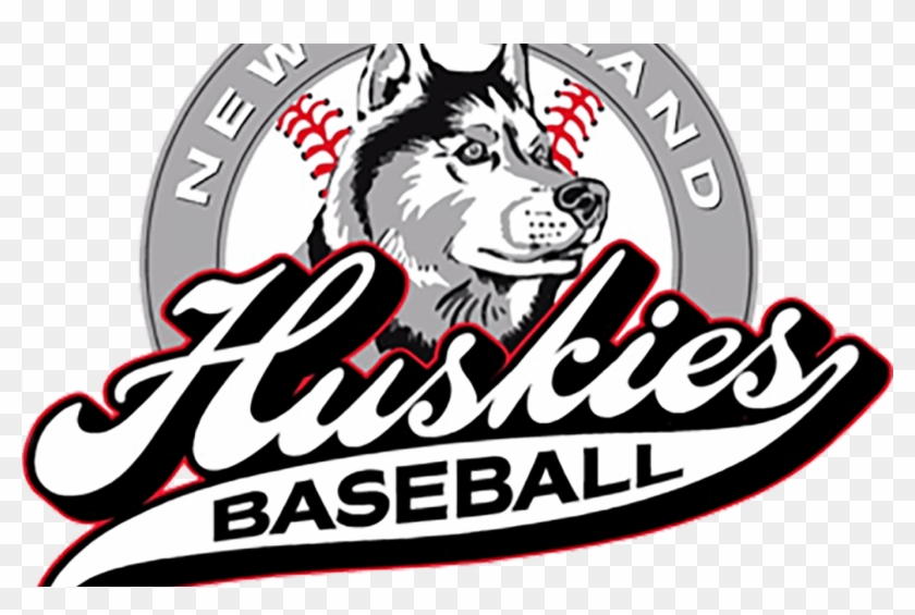The Yard State Of The Art Baseball/softball Training - New England Huskies Baseball #1452995