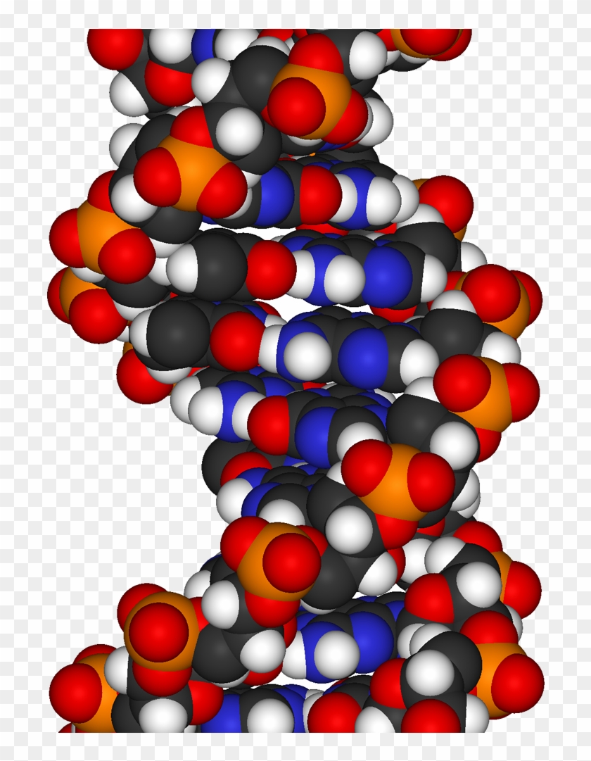 Dna - Encyclopedia Of Bioscience, Technology And Engineering #1453073