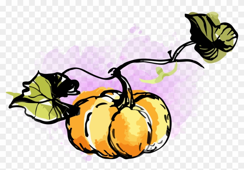 Watercolor Pumpkin Clipart - Clipart Pumpkin Png Watercolor #1453173
