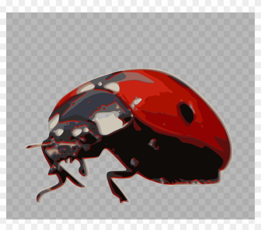 Insect Clipart Scarab Beetle - Invertebrates Ladybug #1453201
