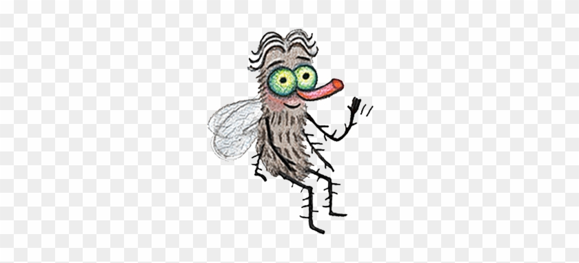 Jonathan, A Dung Fly Who Dislikes Dirt - Illustration #1453239