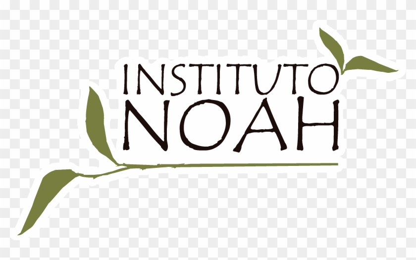 Instituto Noah - Illustration #1453415