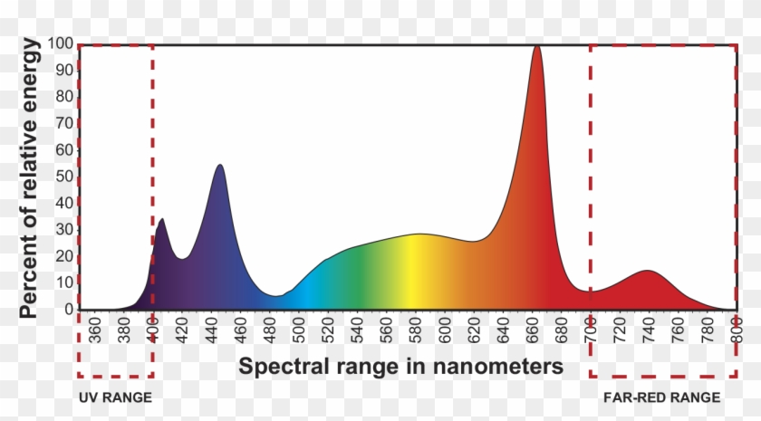 The Eye Hortilux Led 240 R Grow Light System Is The - Spectral Graph Theory #1453557