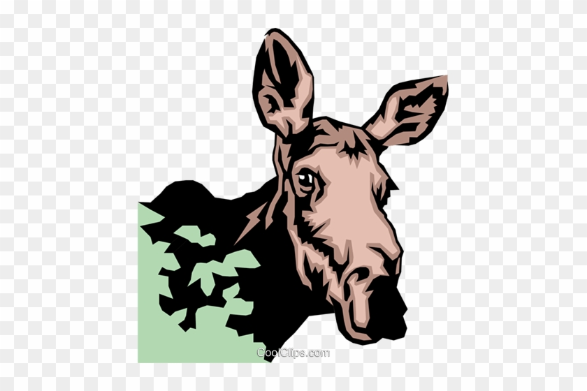 More Free Moose Png Images - Illustration #1453740