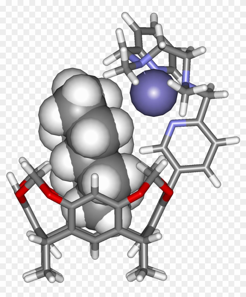 Enzymes Provide A Hydrophobic Pocket For The Binding - Enzymes Provide A Hydrophobic Pocket For The Binding #1454221