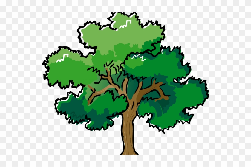 Mango Clipart Summer - Oak Tree #1454676