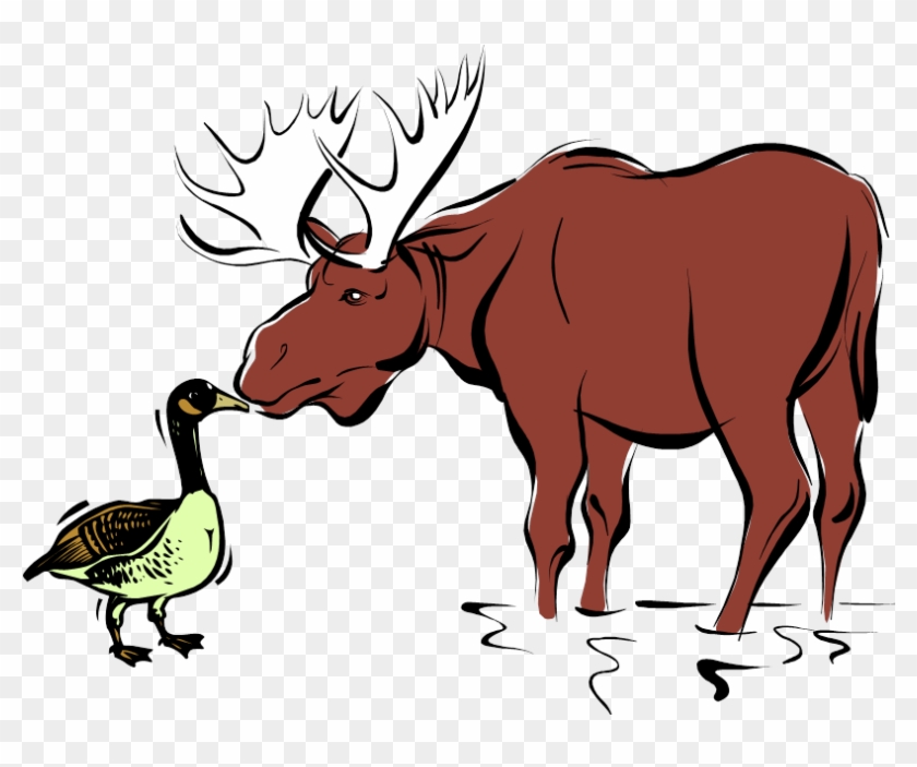 Goose Kissing A Moose - Goose Kissing A Moose Clip Art #1454738