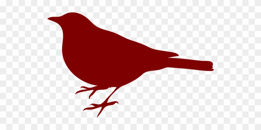 Bird, Black, Silhouette, Maroon - Bird Silhouette Clip Art #1455369