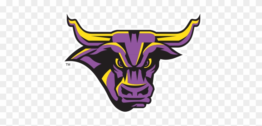 Minnesota State Mavericks Logo #1455928