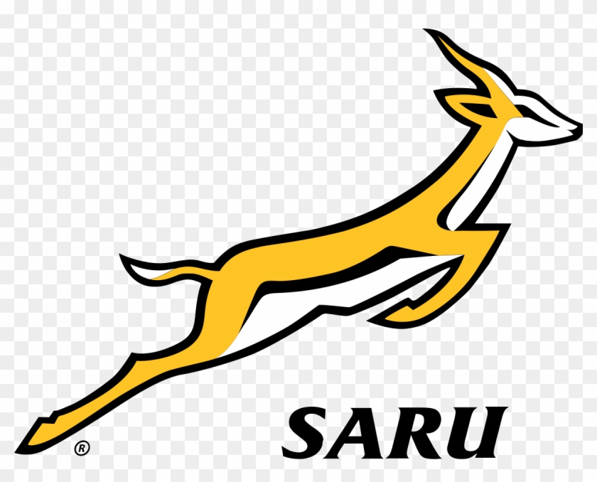 South African Rugby Union Logo #1455972
