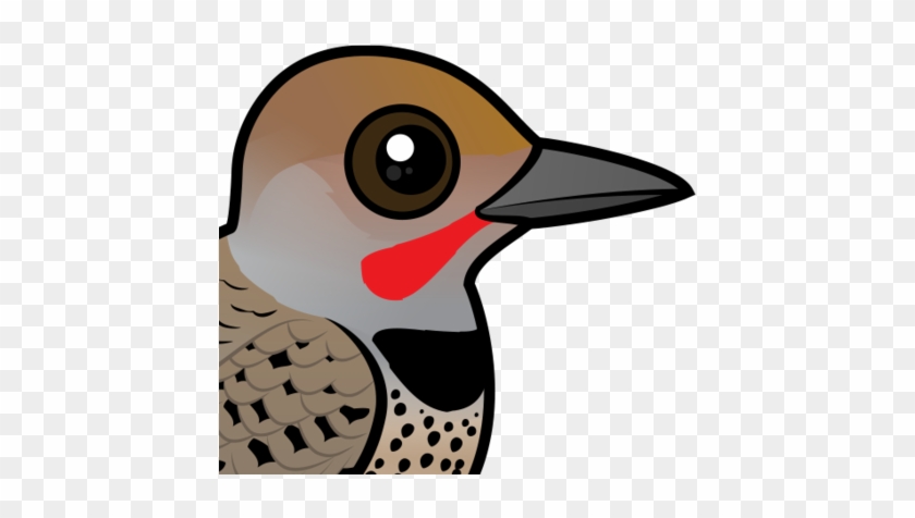 The Gilded Flicker Is A Medium-sized Species Of Woodpecker - Northern Flicker (red-shafted) Keychain, Adult Unisex, #1456009
