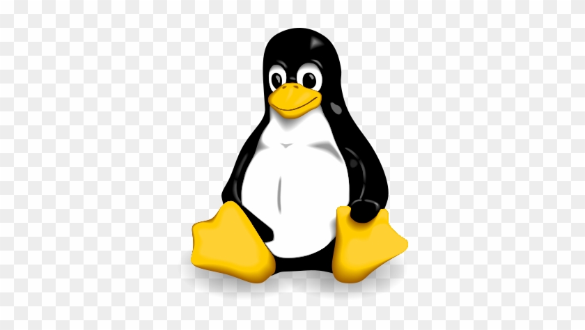 Photo Of Richard Stallman, The Logo Of The Free Software - Photo Of Richard Stallman, The Logo Of The Free Software #1456122