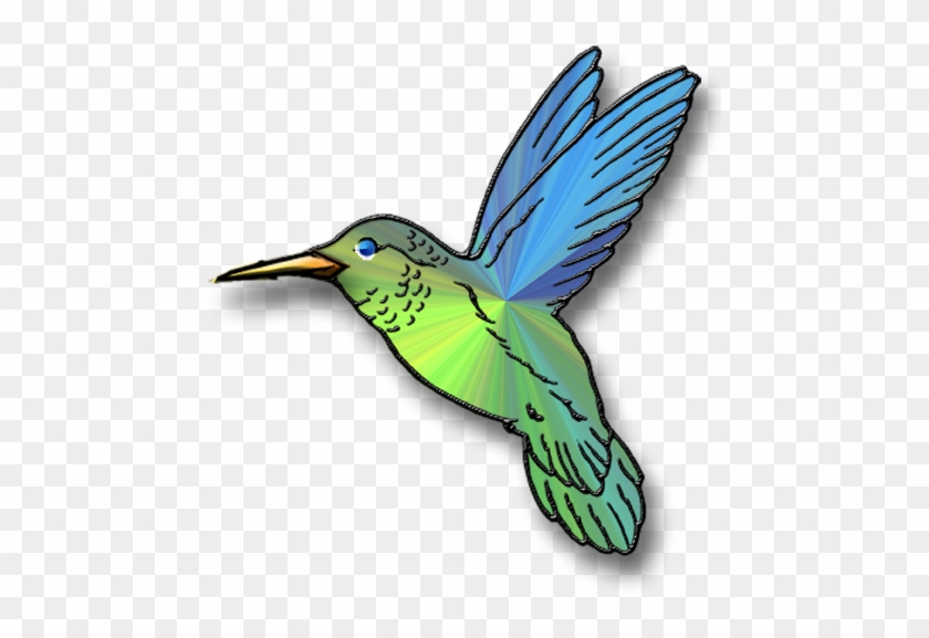 Hummingbird Clip Art Free Hummingbird Clipart Pictures - Colibrí En Blanco Y Negro #1456155