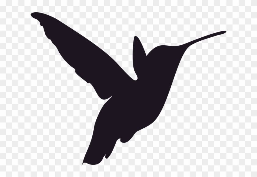 Free Image On Pixabay Bird Pinterest - Hummingbird Stencil #1456159