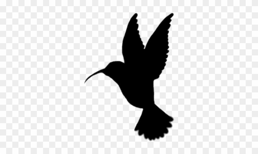 Clipart Stock Hummingbird Clipart Flower Stencil - Silhouette Hummingbird Clipart #1456178